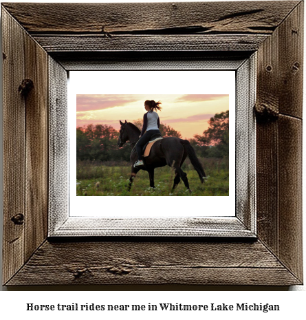 horse trail rides near me in Whitmore Lake, Michigan